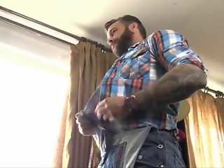 couch bear fuck   